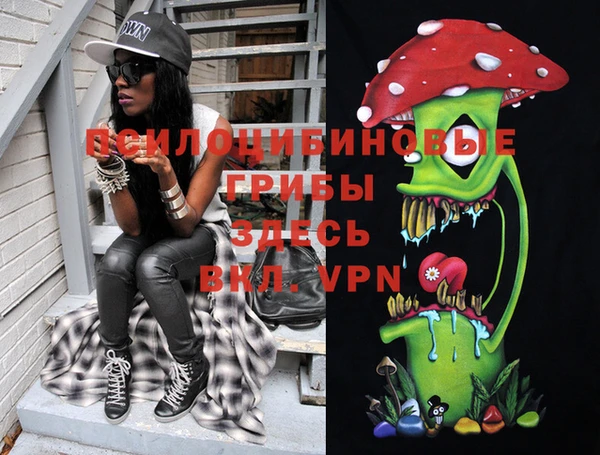 бошки Сосновоборск